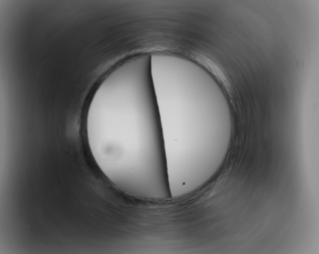 X0000093220483200710101348