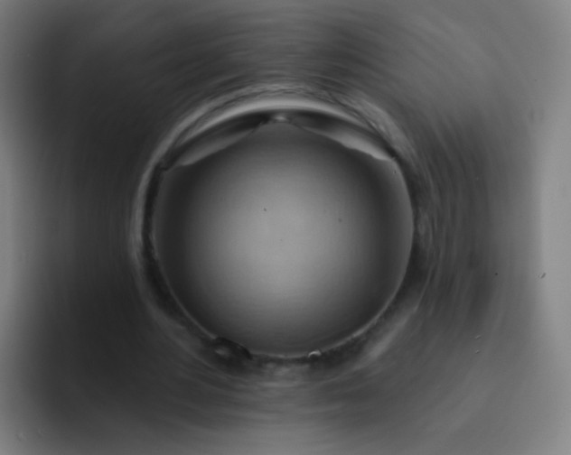 X0000093220484200710101348