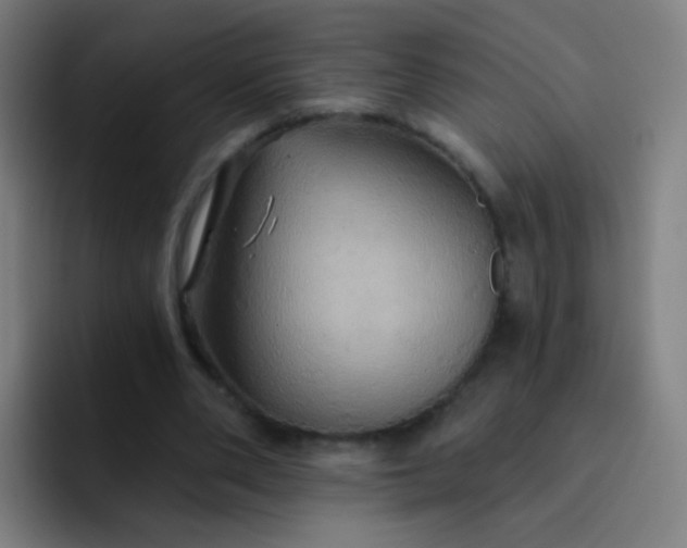 X0000093220486200710101348