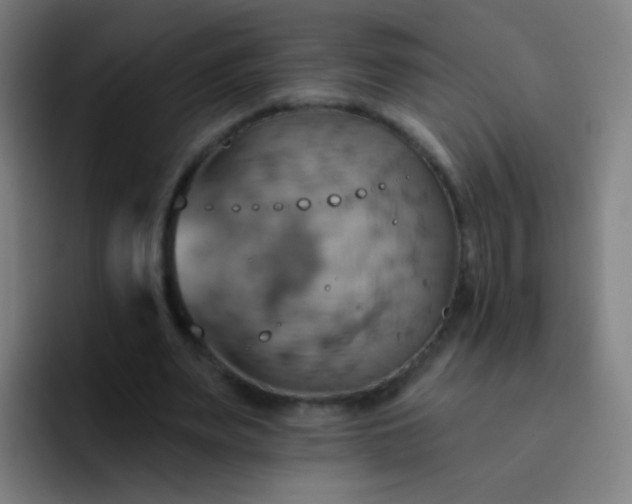 X0000093220487200710101348