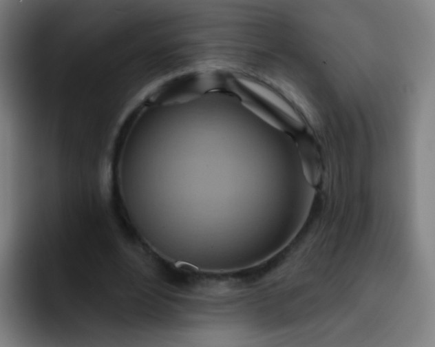 X0000093220488200710101348