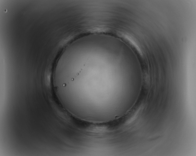 X0000093220491200710101348