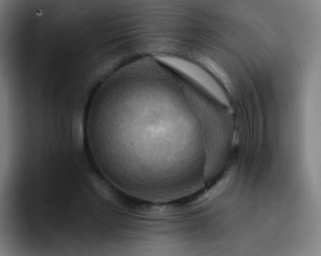 X0000093220493200710101348