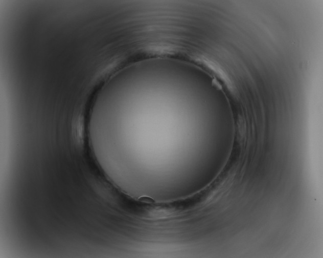 X0000093220494200710101348