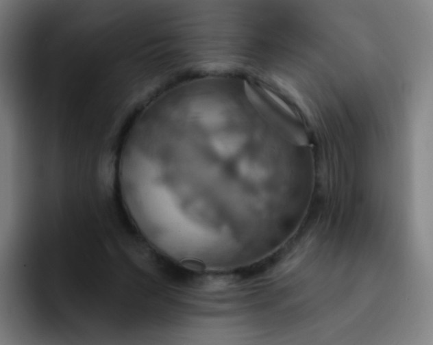 X0000093220495200710101348