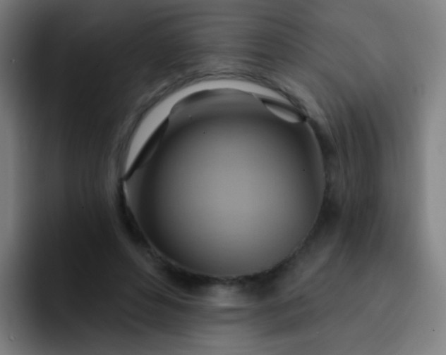 X0000093220496200710101347