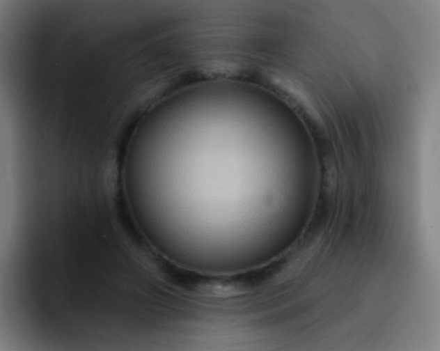 X0000093220498200710101347