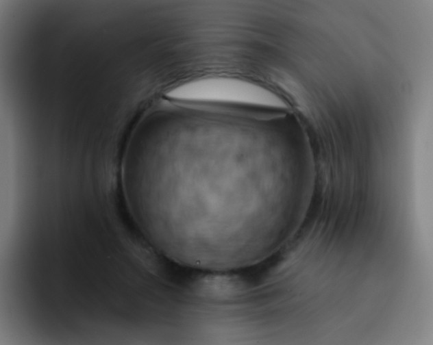 X0000093220499200710101347