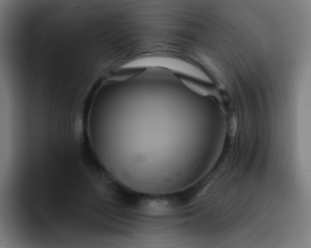 X0000093220500200710101347