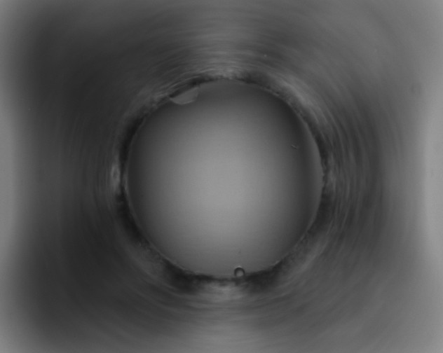 X0000093220502200710101347