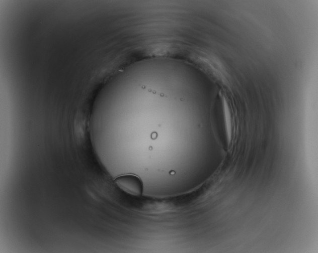 X0000093220503200710101347