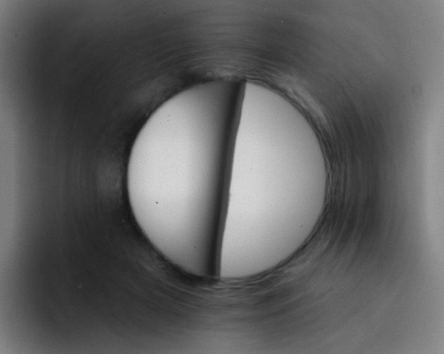 X0000093220505200710101347