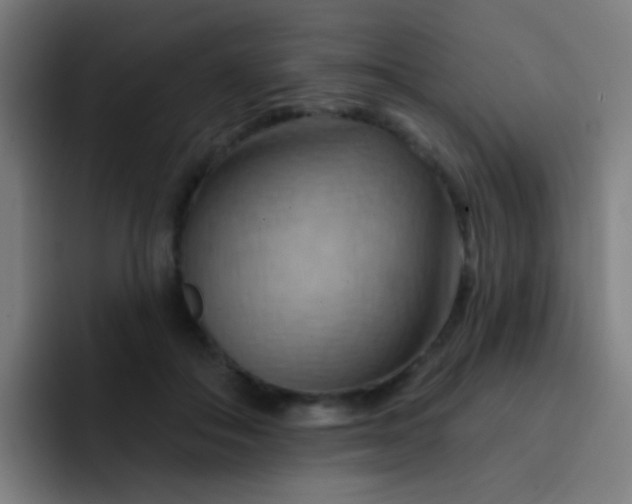 X0000093220506200710101347