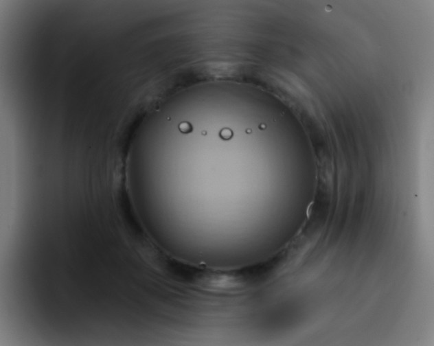 X0000093220507200710101347