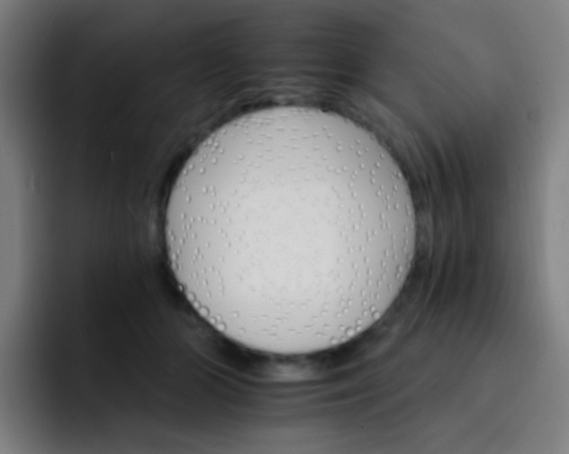 X0000093220510200710101347