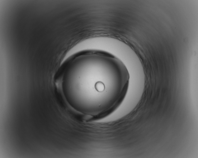 X0000093220512200710101347