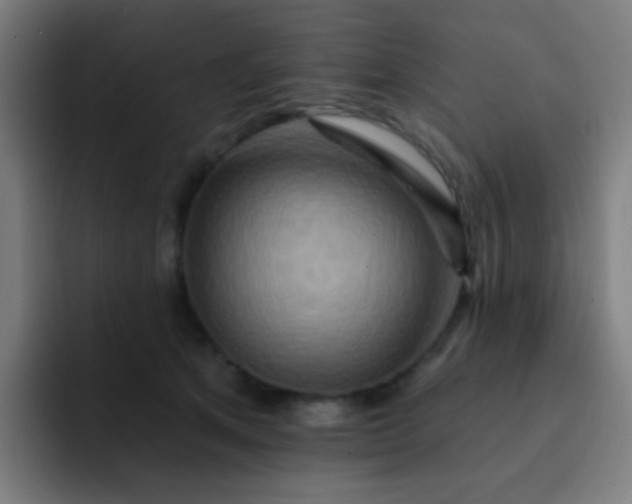 X0000093220513200710101347