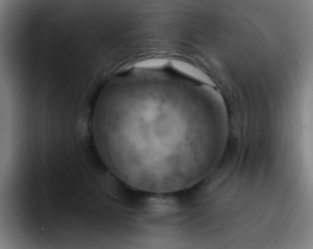 X0000093220515200710101347