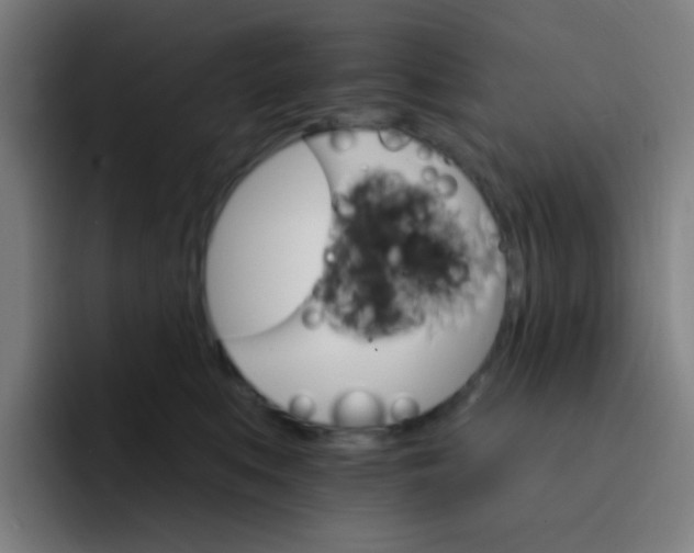 X0000093220519200710101347