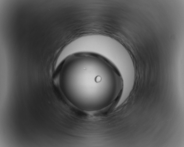 X0000093220520200710101347