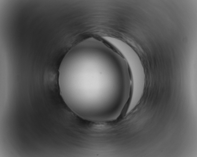 X0000093220521200710101347