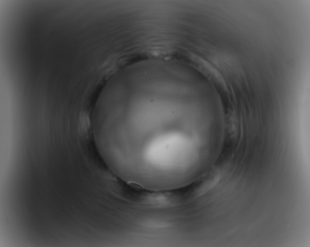 X0000093220523200710101347