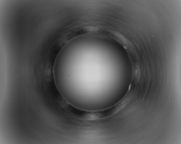 X0000093220525200710101347