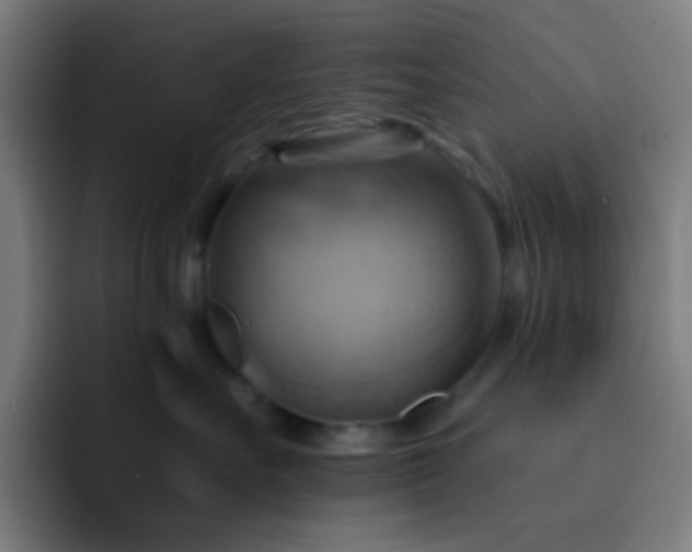 X0000093220527200710101347