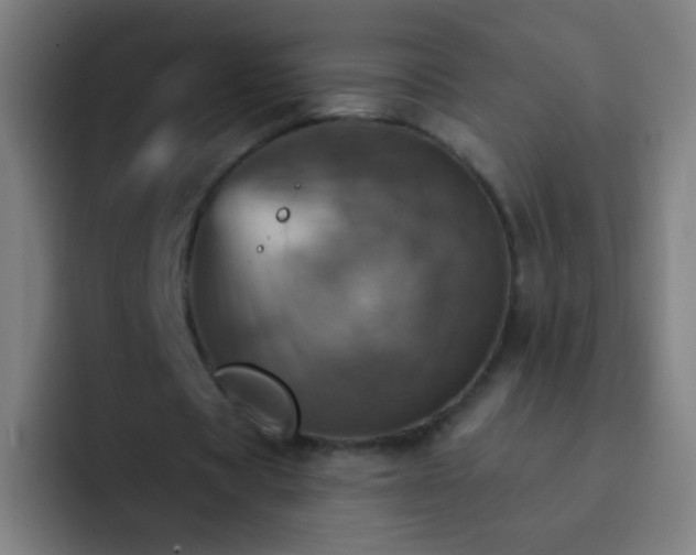 X0000093220529200710101347