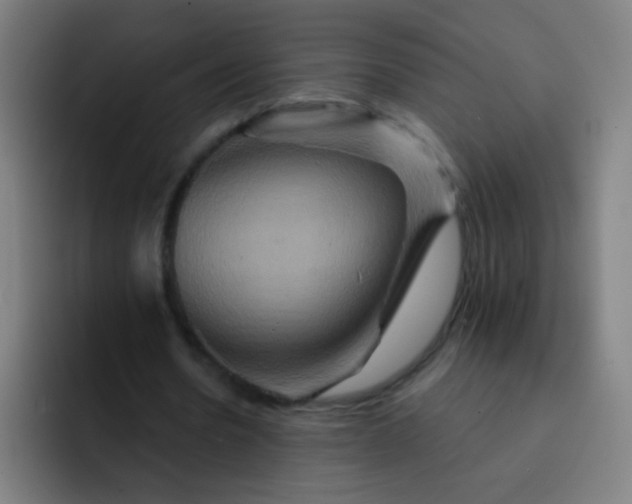 X0000093220530200710101347