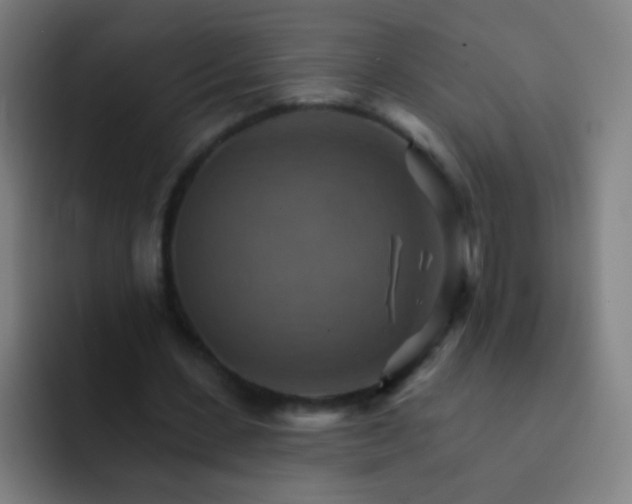 X0000093220531200710101347