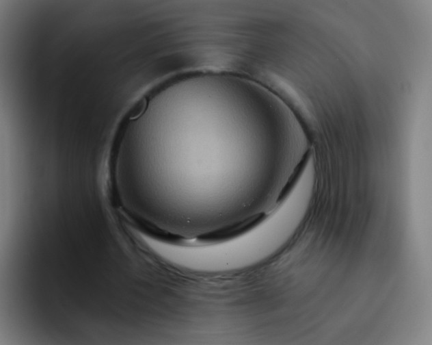 X0000093220532200710101347