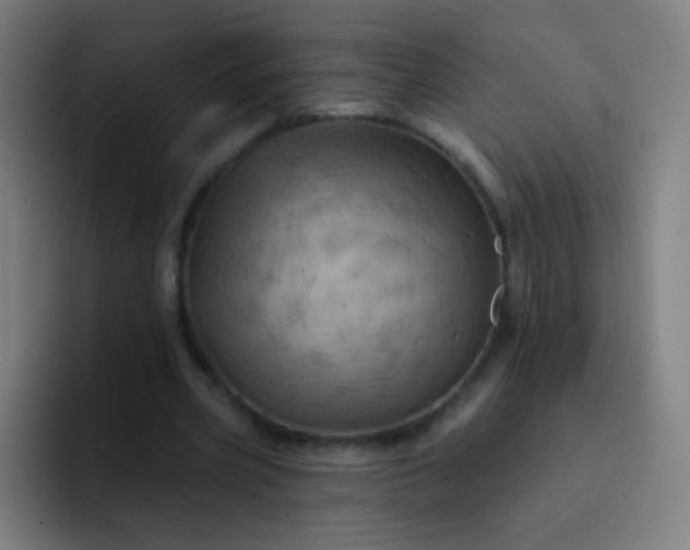 X0000093220533200710101347