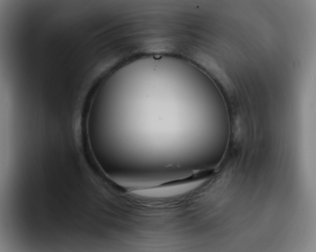 X0000093220535200710101347