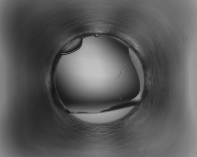 X0000093220536200710101347