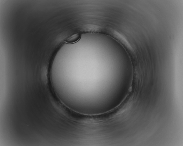 X0000093220538200710101347