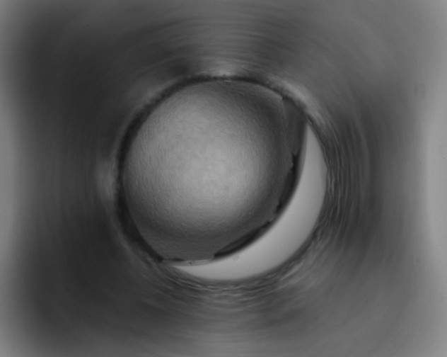 X0000093220540200710101347