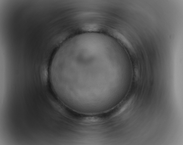 X0000093220541200710101347