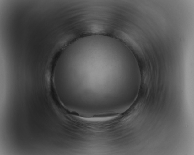 X0000093220542200710101347