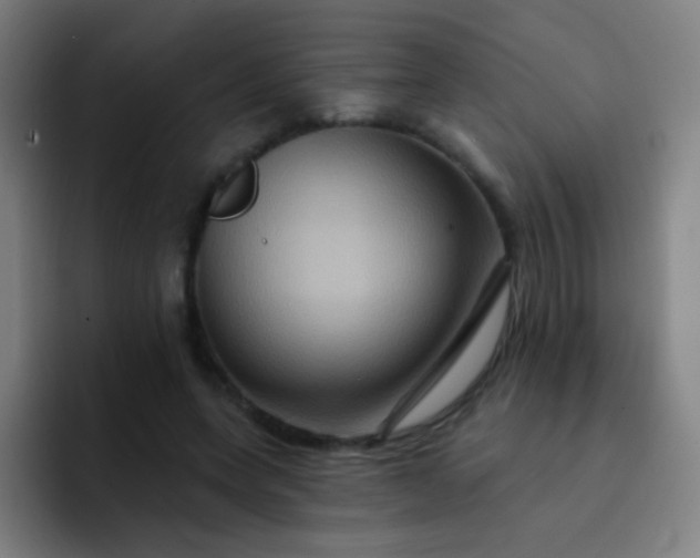 X0000093220543200710101347