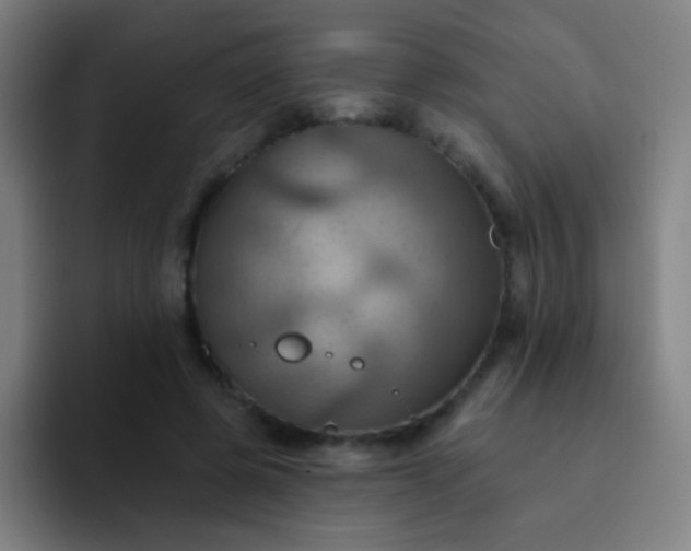 X0000093220545200710101347