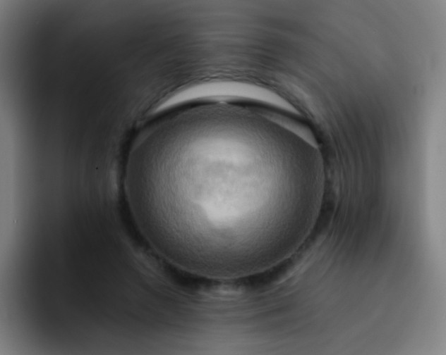 X0000093220546200710101347