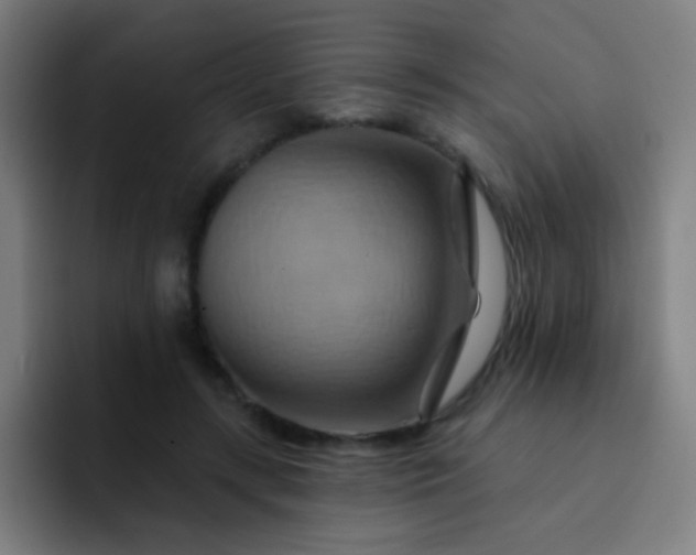 X0000093220547200710101347