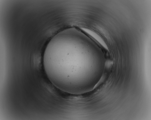 X0000093220548200710101347