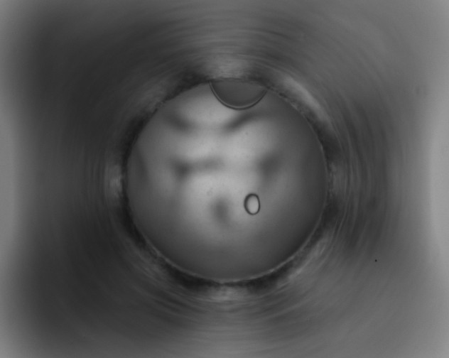 X0000093220549200710101347