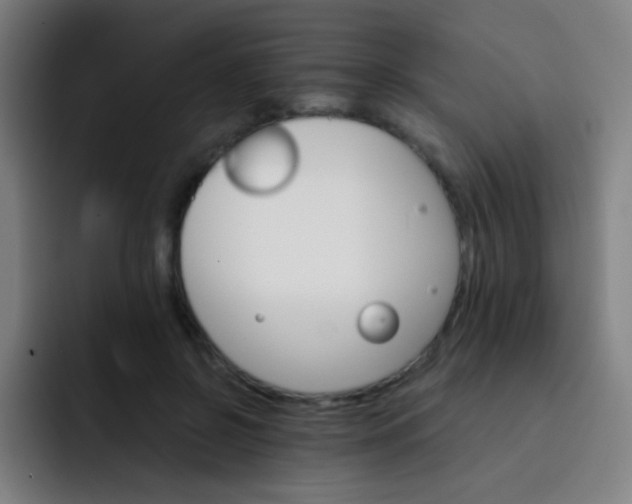 X0000093220550200710101347