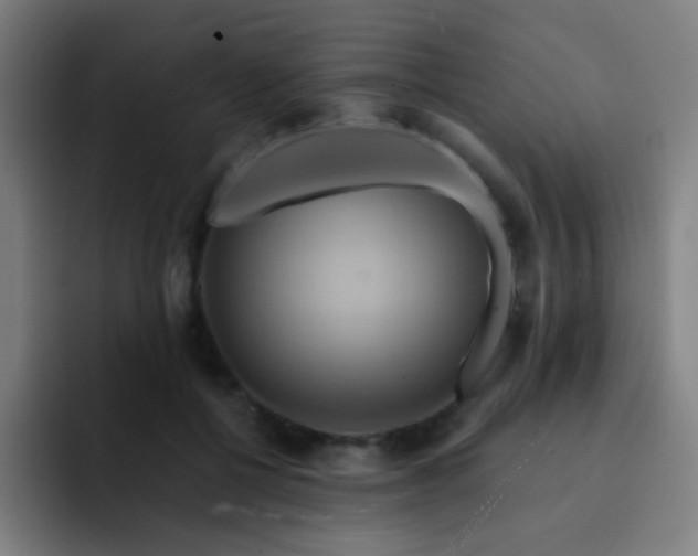 X0000093220552200710101347