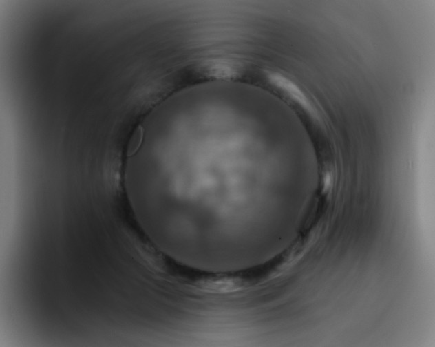 X0000093220553200710101347