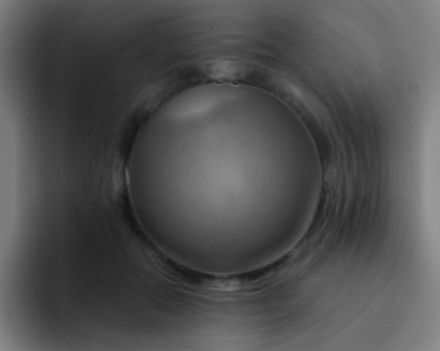 X0000093220554200710101347