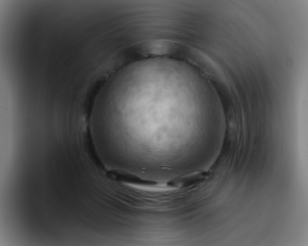 X0000093220555200710101347